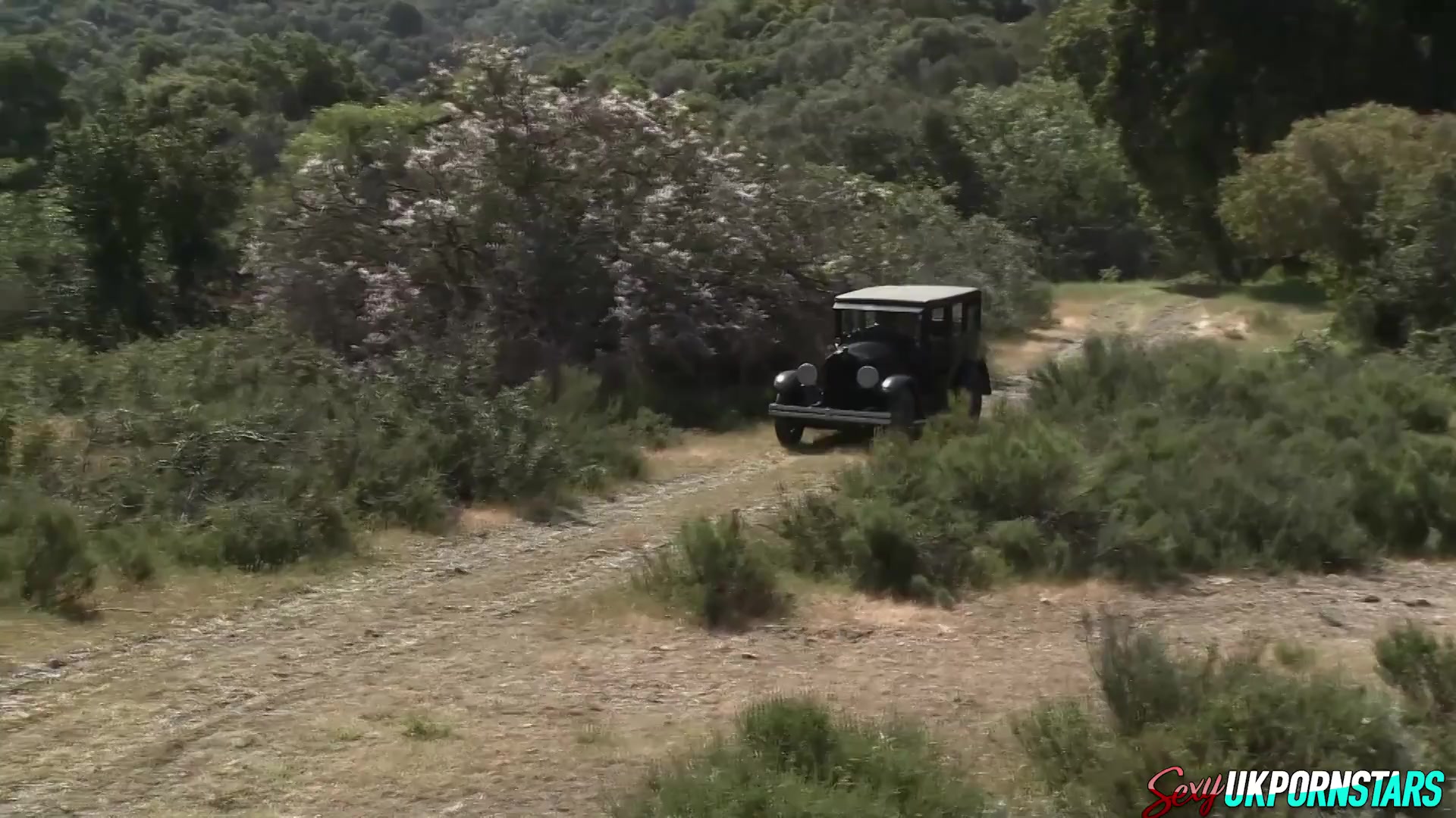 Bonnie and Clyde enjoy a fuck in the country